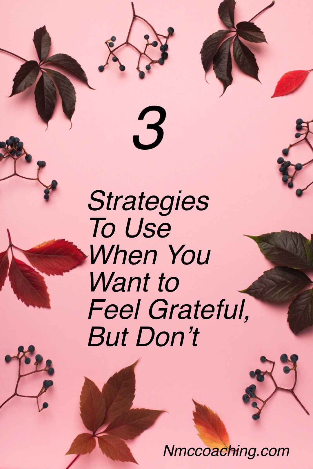 3 strategies to use when you want to feel grateful, but don’t.